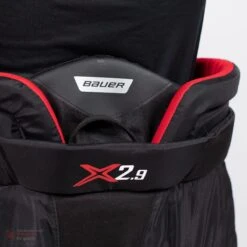 Bauer Vapor X2.9 Junior Goalie Pants -Bauer bauer goalie pants bauer vapor x2 9 junior goalie pants 5669216780354